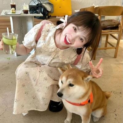 断线森林2